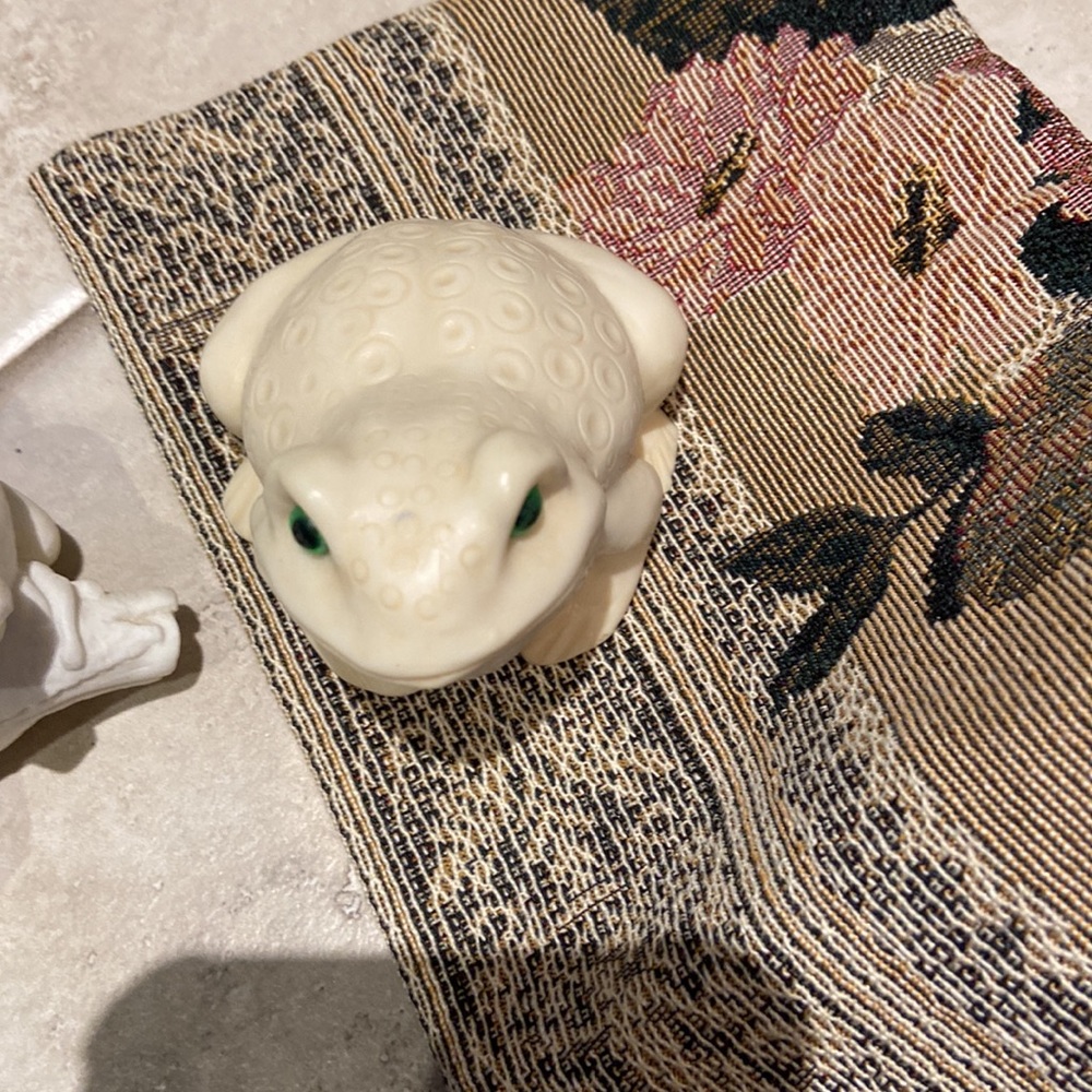 Frog 2 - Picture 2 of 2